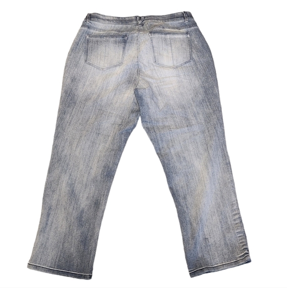 Democracy Ab"solution Embroidered Girlfriend Jeans Size 20W - Picture 4 of 14